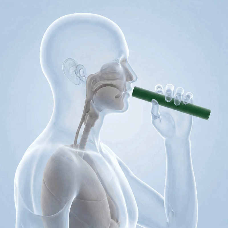 Routine Sereolys par inhalation