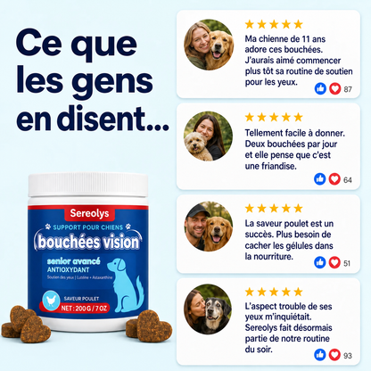 Bouchées pour le soutien de la vision