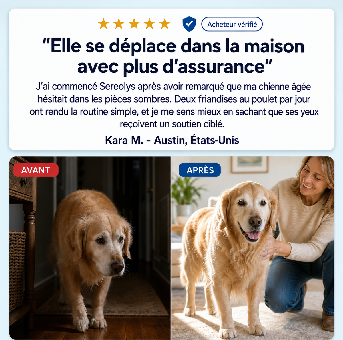 Bouchées pour le soutien de la vision