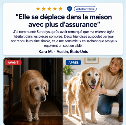 Bouchées pour le soutien de la vision