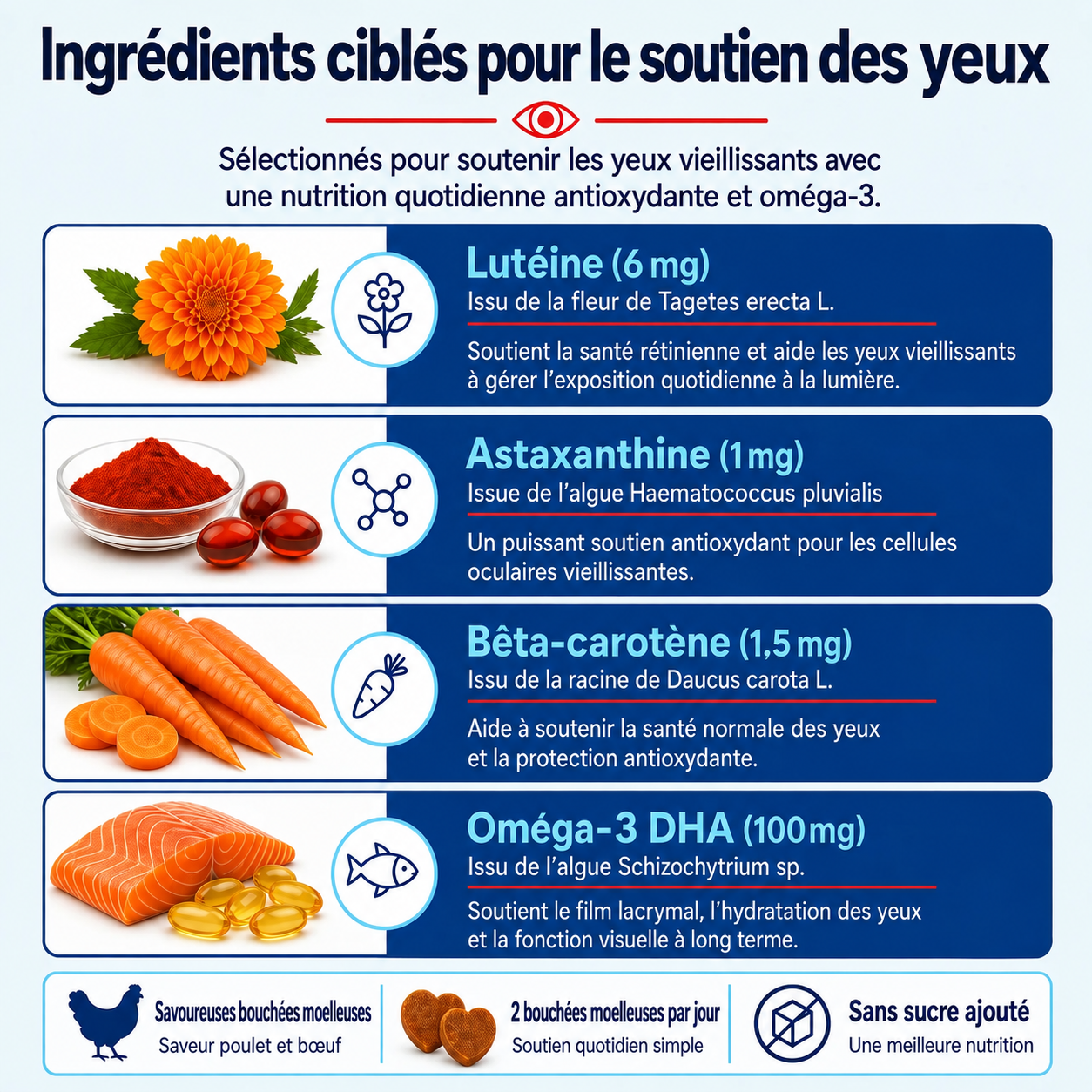 Bouchées pour le soutien de la vision