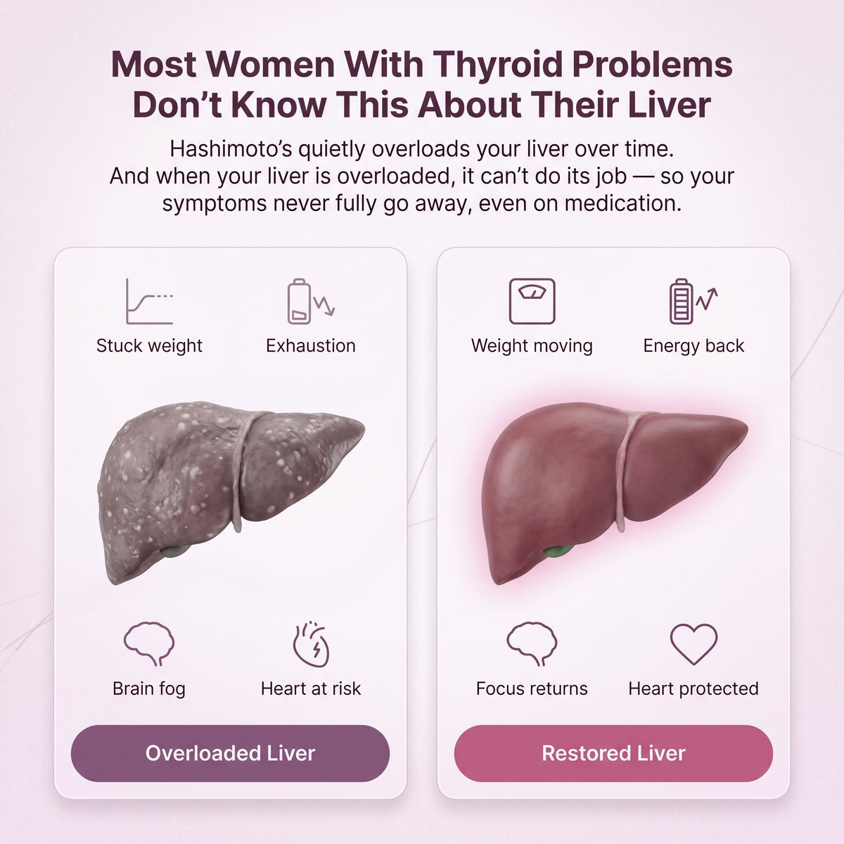Soutien du foie et de la thyroïde